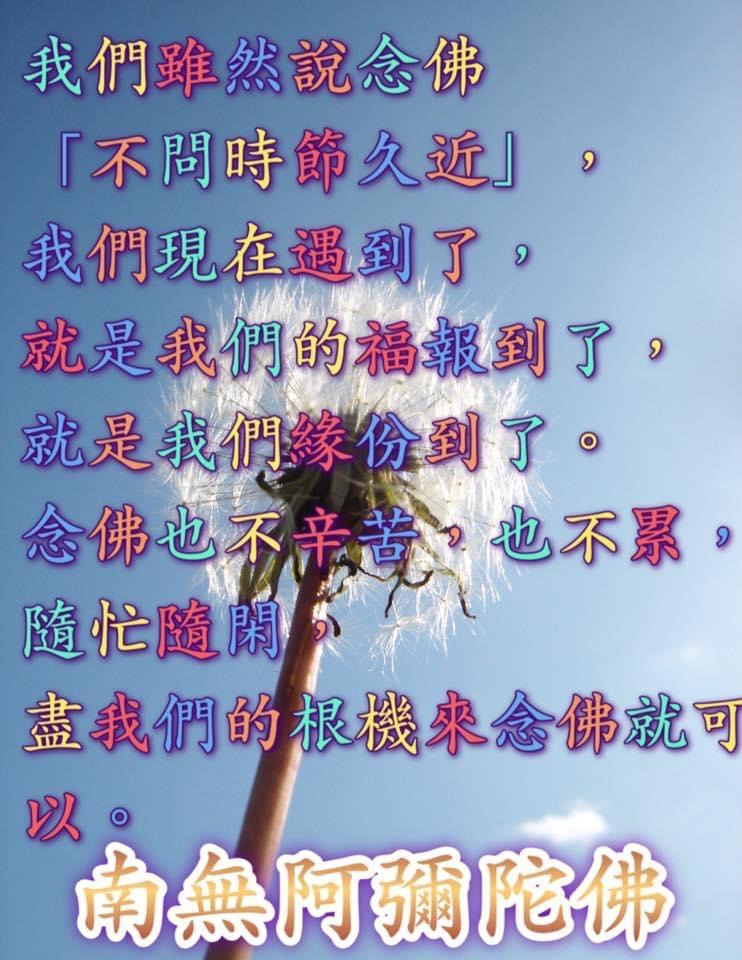 淨宗法師法語