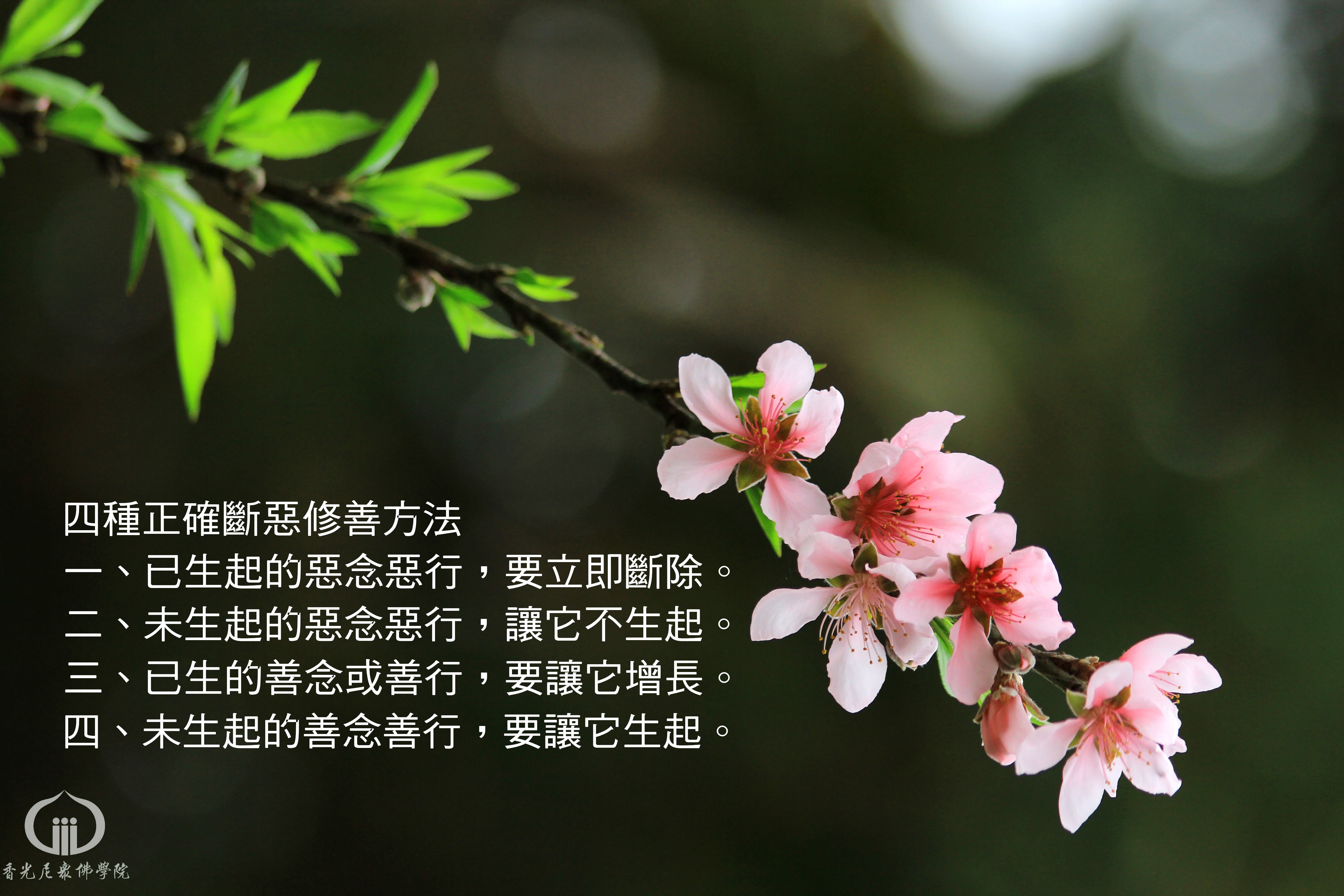 四正勤