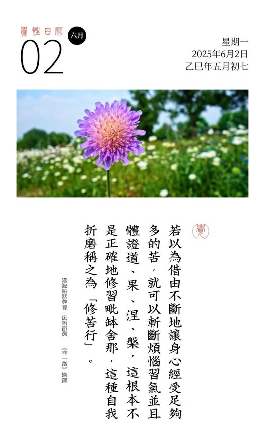 隆波帕默尊者法語