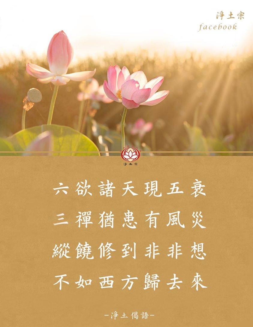 净土诗