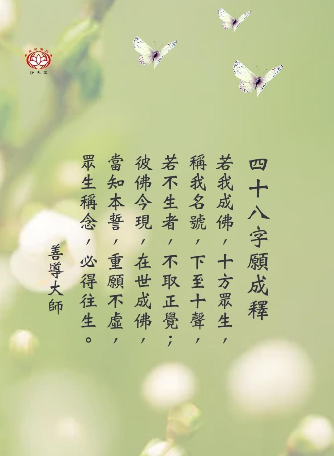 善导大师法语