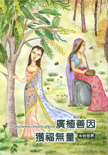 庵羅果
