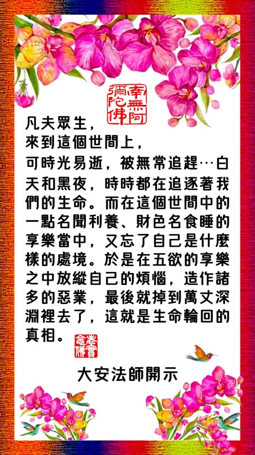 大安法师法语