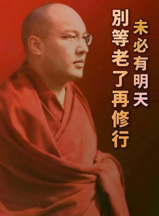 大宝法王法语