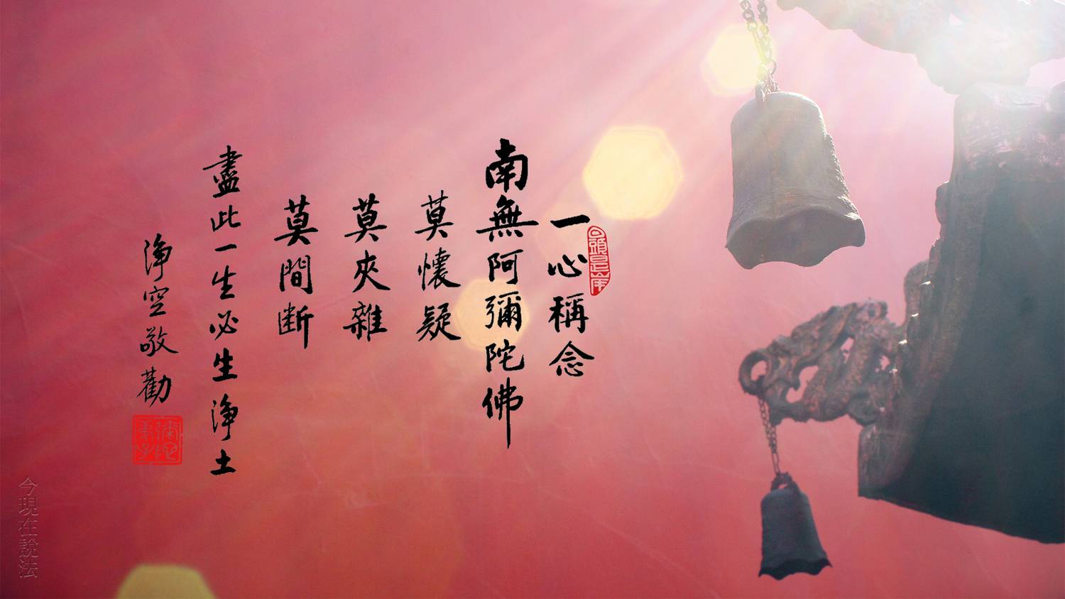 净空法师法语
