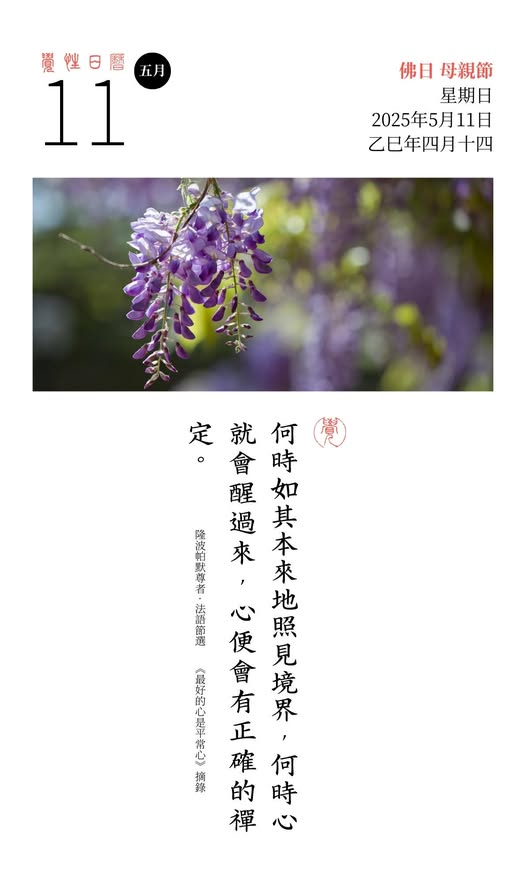 隆波帕默尊者法语